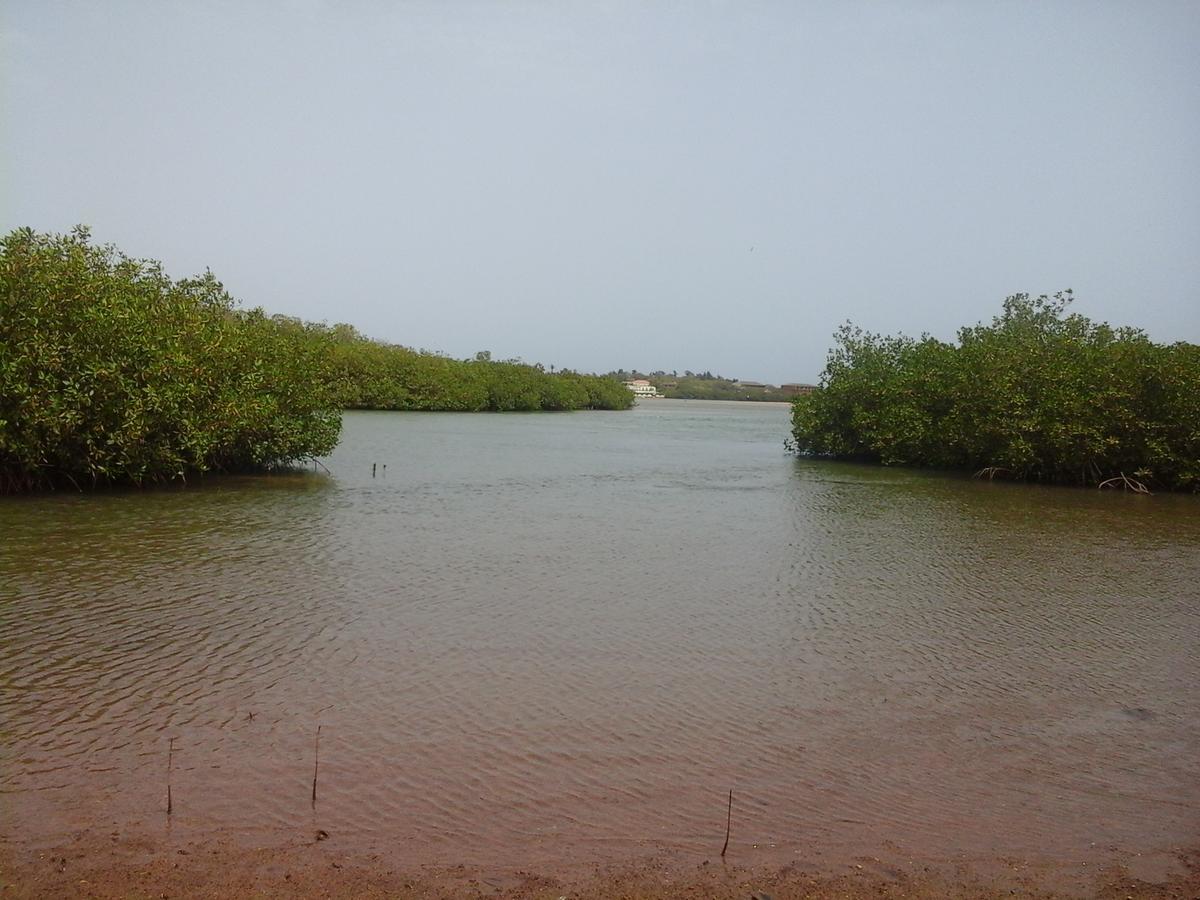 La Cabane Du Pecheur Atlantic Evasion Dakar Bagian luar foto